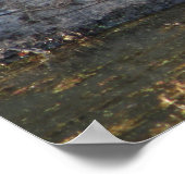 Poster Tortue (Coin)