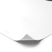 Poster Tortue (Coin)