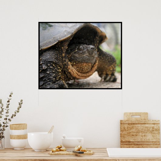 Poster Tortue (Cuisine)