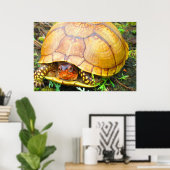 Poster Tortue (Bureau à domicile)