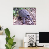 Poster Tortue 1 (Bureau à domicile)