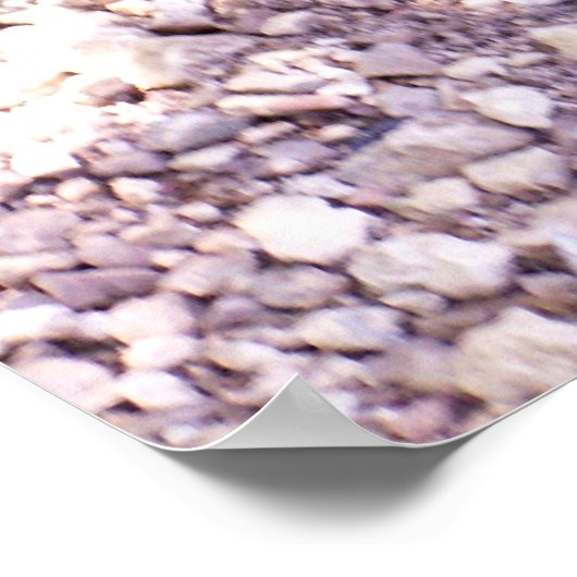 Poster Tortue 1 (Coin)