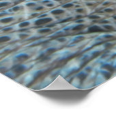 Poster Tortue à neige (Coin)