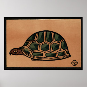 Poster Tortue - Antiquaire, Illustration du livre coloré