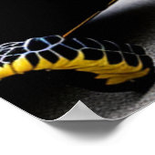 Poster Tortue avec coquille métallique Concept Art (Coin)