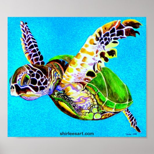 Poster tortue colorée (Devant)