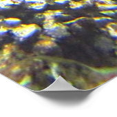 Poster tortue dans la mer (Coin)