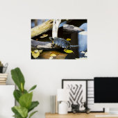Poster Tortue de l'étang dans la nature (Bureau à domicile)