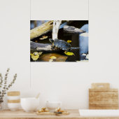 Poster Tortue de l'étang dans la nature (Cuisine)