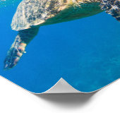 Poster Tortue de mer (Coin)