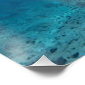 Poster Tortue de mer (Coin)
