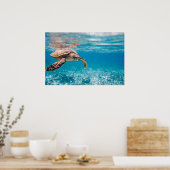 Poster Tortue de mer (Cuisine)