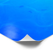 Poster Tortue de mer (Coin)