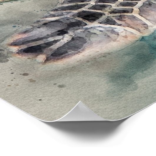 Poster Tortue de mer (Coin)