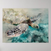 Poster Tortue de mer (Devant)