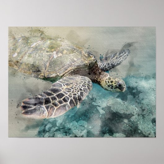 Poster Tortue de mer (Devant)