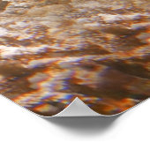 Poster Tortue de mer (Coin)