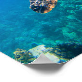 Poster Tortue de mer (Coin)