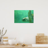 Poster Tortue de mer (Cuisine)