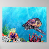 Poster Tortue de mer (Devant)