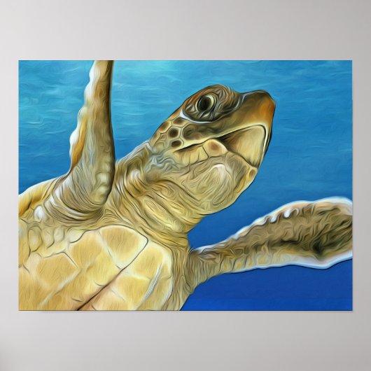 Poster Tortue de mer à tête noire (Devant)