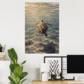 Poster Tortue de mer dans de l'eau bleu clair (Bureau à domicile)