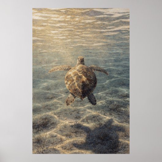 Poster Tortue de mer dans de l'eau bleu clair (Devant)
