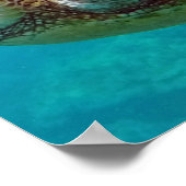 Poster Tortue de mer des îles Hawaï (Coin)