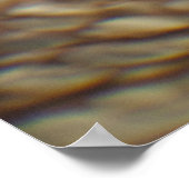 Poster Tortue de mer d'Hawaï (Coin)