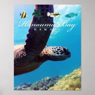 Poster Tortue de mer d'Hawaï de baie de Hanauma