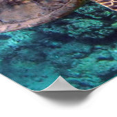 Poster Tortue de mer d'Hawaii (Coin)