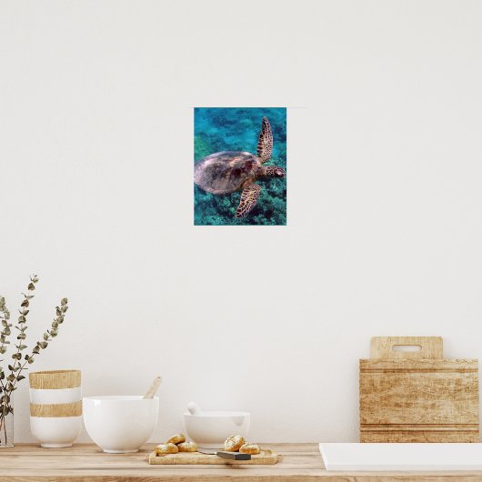 Poster Tortue de mer d'Hawaii (Cuisine)