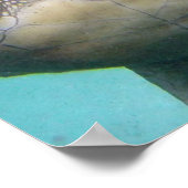Poster Tortue de mer d'Hawaii (Coin)