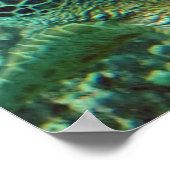 Poster Tortue de mer d'Hawaii (Coin)