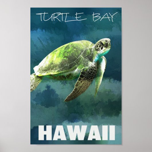 Poster Tortue de mer d'Hawaii Artiste (Devant)