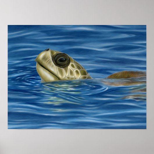 Poster Tortue de mer d'Olive Ridley (Devant)