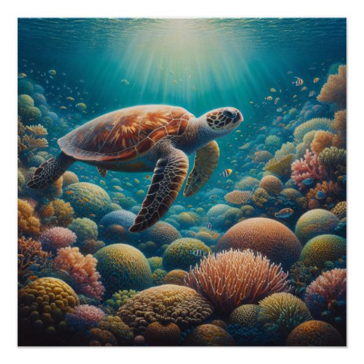Poster Tortue de mer et corail (Devant)
