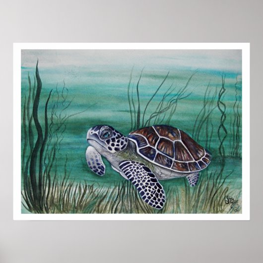 Poster Tortue de mer Hawksbill (Devant)