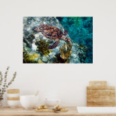 Poster Tortue de mer Hawksbill, îles Vierges américaines (Cuisine)