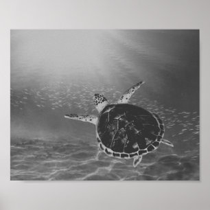Poster Tortue de mer noire et blanche Tropical Printable