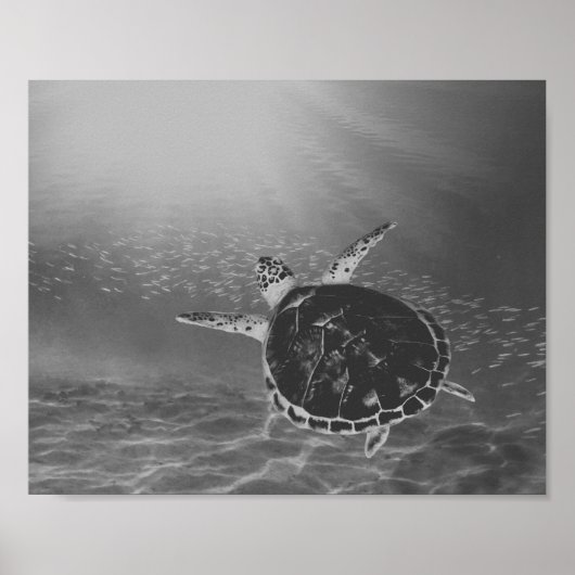 Poster Tortue de mer noire et blanche Tropical Printable  (Devant)