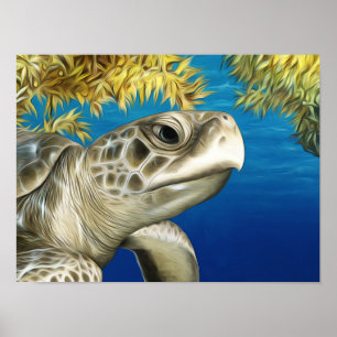 Poster Tortue de mer Ridley de Kemp