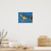 Poster Tortue de mer Stylisée Basking (Cuisine)