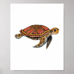 Poster Tortue de mer Totem animal