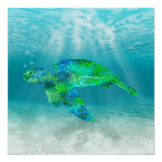 Poster Tortue de mer verte (Devant)