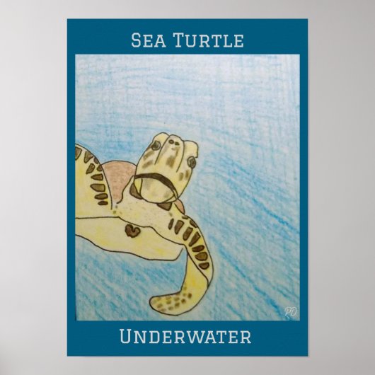 Poster Tortue de mer verte (Devant)