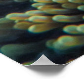 Poster Tortue de mer verte (Coin)