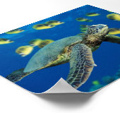 Poster Tortue de mer verte, soyez libre (Coin)