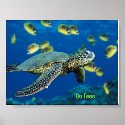 Poster Tortue de mer verte, soyez libre (Devant)