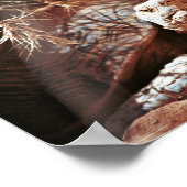 Poster Tortue du désert (Coin)